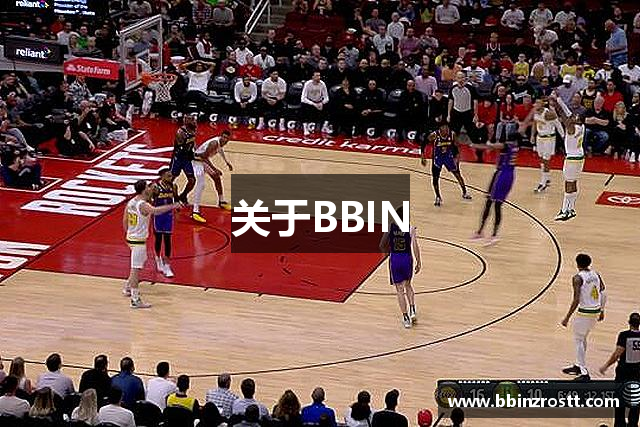 关于BBIN